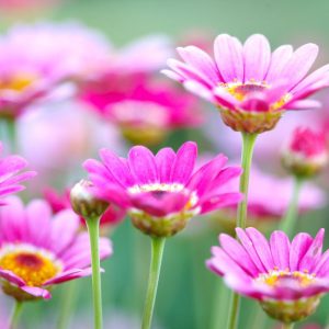 Self Love Starts Here with You. Metta Workshop